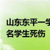 山东东平一学校门口发生严重交通事故致十余名学生死伤