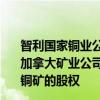 智利国家铜业公司（Codelco）提议，出资5亿美元持股由加拿大矿业公司Teck Resources经营的Quebrada Blanca铜矿的股权