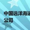 中国远洋海运集团、金风科技投资成立新能源公司