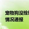 宠物狗没拴绳吓哭小孩被爷爷摔死 街道发布情况通报