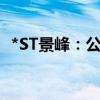 *ST景峰：公司股票存在被终止上市的风险