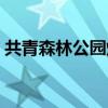 共青森林公园烧烤预约（共青森林公园烧烤）