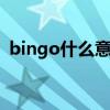 bingo什么意思网络语（binggo什么意思）