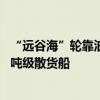 “远谷海”轮靠泊山东港口青岛港 该港迎来第400艘次40万吨级散货船