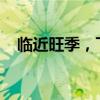 临近旺季，飞天茅台价格连降！最新回应