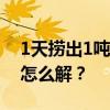 1天捞出1吨死鱼！无序放生变“杀生”难题怎么解？