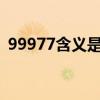 99977含义是什么?（99977代表哪五个字）