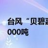 台风“贝碧嘉”逐渐逼近，上海已抢收蔬菜8000吨