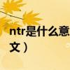 ntr是什么意思性取向是什么（ntr什么意思中文）