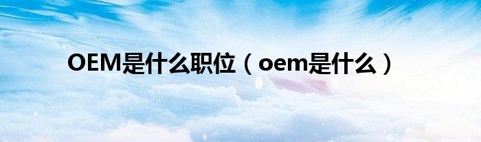 oem是什么意思梗（oem是什么组织）