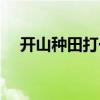 开山种田打一个字谜（开山种田猜一字）