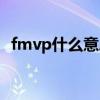 fmvp什么意思王者荣耀（fmvp什么意思）