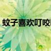 蚊子喜欢叮咬哪些人（蚊子喜欢叮咬什么人）