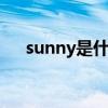 sunny是什么意思（snow是什么意思）