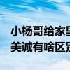 小杨哥给家里人买美心 给家人卖美诚：美心、美诚有啥区别