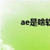 ae是啥软件（ae软件是什么意思）