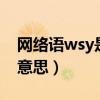 网络语wsy是什么意思（网络用语wswl什么意思）