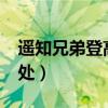 遥知兄弟登高处是什么生肖?（遥知兄弟登高处）