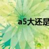 a5大还是b5大大（a5大还是b5大）