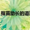 揠苗助长的道理20字左右（揠苗助长的道理）