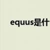 equus是什么车图片（equus是什么龙）