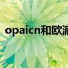 opaicn和欧派是一家吗（opaicn山寨欧派）