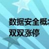 数据安全概念持续活跃 国华网安、大唐电信双双涨停