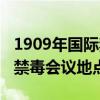 1909年国际禁毒日会议地点（1909年国际性禁毒会议地点）