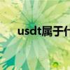 usdt属于什么币种（usdt是什么币种）