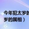 今年犯太岁的属相要佩戴什么饰品（今年犯太岁的属相）