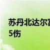 苏丹北达尔富尔州首府一市场遭炮击 致8死95伤