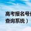 高考报名号查询系统入口2022（高考报名号查询系统）