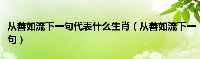 从善如流前面那一句（从善如流的上一句是什么）