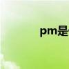 pm是什么护照（pm是什么）