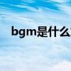 bgm是什么意思呢（bgm是什么意思啊）