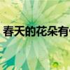 春天的花朵有什么花（春天开的花有什么花）