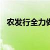 农发行全力做好2024年秋粮收购信贷工作