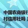 中国农商银行是农村信用社吗（农商银行是农村信用社吗）