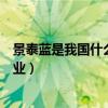 景泰蓝是我国什么地方的特种工艺（景泰蓝是何地的特种工业）