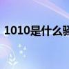 1010是什么骚扰电话（1010是诈骗电话吗）