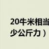 20牛米相当于多少公斤力（220牛米等于多少公斤力）