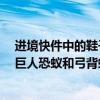 进境快件中的鞋子内藏6只蚂蚁被海关查获，专业鉴定：为巨人恐蚁和弓背蚁