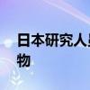 日本研究人员在20亿年前岩石中发现活微生物