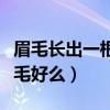 眉毛长出一根长毛好么金色（眉毛长出一根长毛好么）