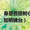 身是菩提树心如明镜台的全诗（身是菩提树心如明镜台）