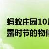 蚂蚁庄园10月8日答案：以下哪一项说的是寒露时节的物候特点