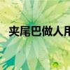 夹尾巴做人用一个词表达（夹着尾巴做人）