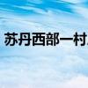 苏丹西部一村庄遭武装分子袭击 致20人死亡