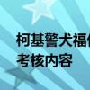 柯基警犬福仔转正了 通过了为它量身定制的考核内容