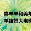 喜羊羊和美羊羊婚后（喜羊羊与灰太狼之美羊羊结婚大电影）